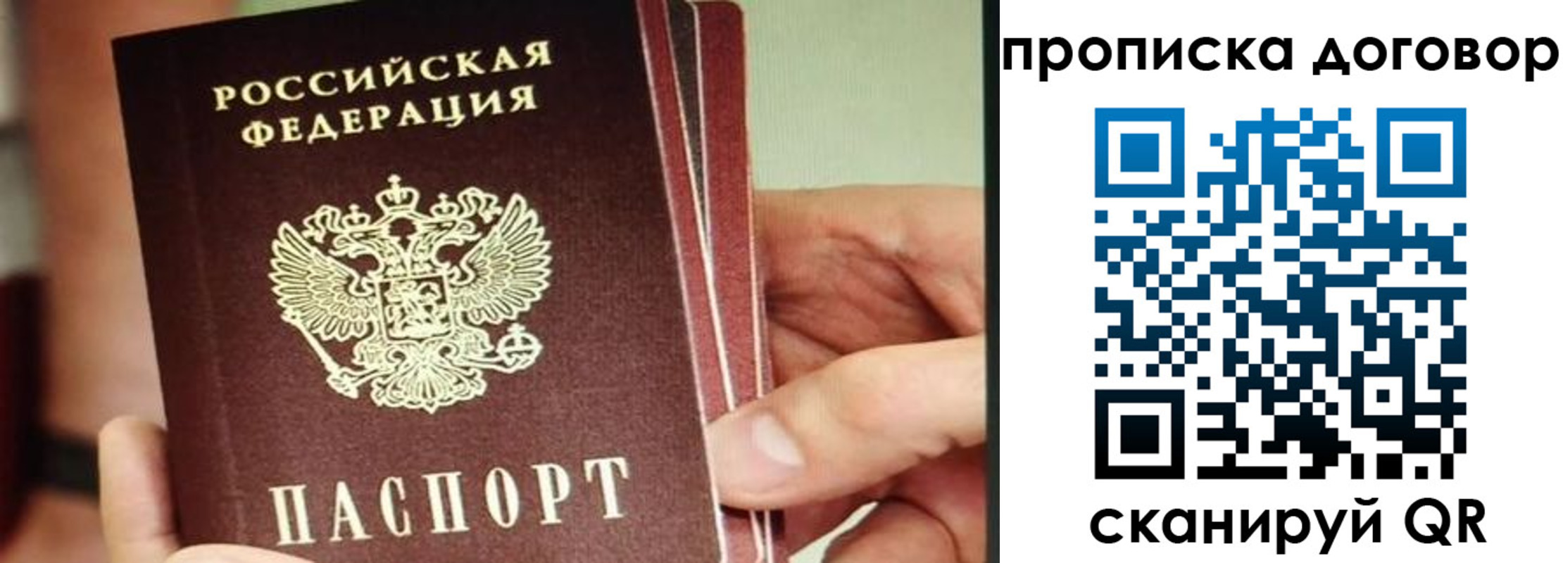 прописка в Дальнегорске